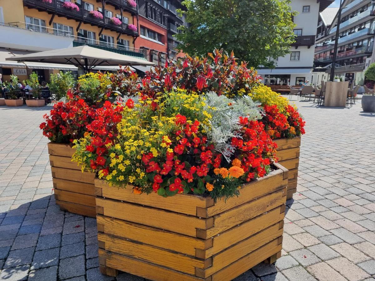 Wohlfuehl-Appartement Bergsee Family - Am Wildsee - Sup Und Schlitten For Free Seefeld in Tirol Ngoại thất bức ảnh
