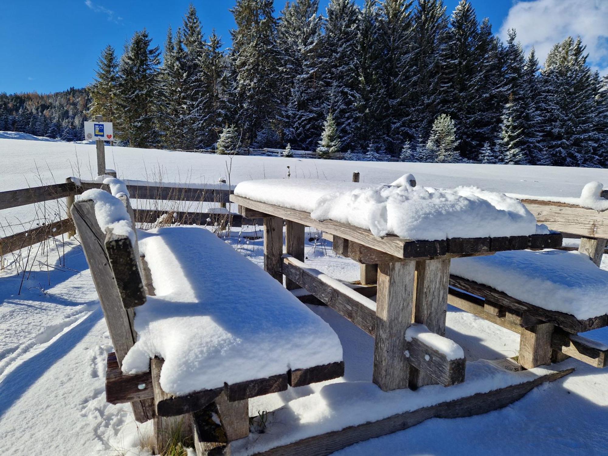 Wohlfuehl-Appartement Bergsee Family - Am Wildsee - Sup Und Schlitten For Free Seefeld in Tirol Ngoại thất bức ảnh