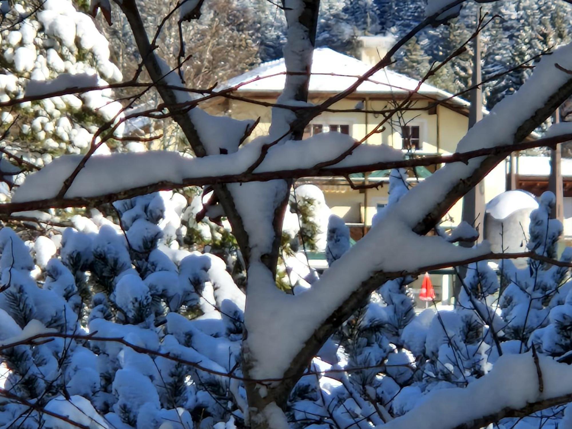 Wohlfuehl-Appartement Bergsee Family - Am Wildsee - Sup Und Schlitten For Free Seefeld in Tirol Ngoại thất bức ảnh