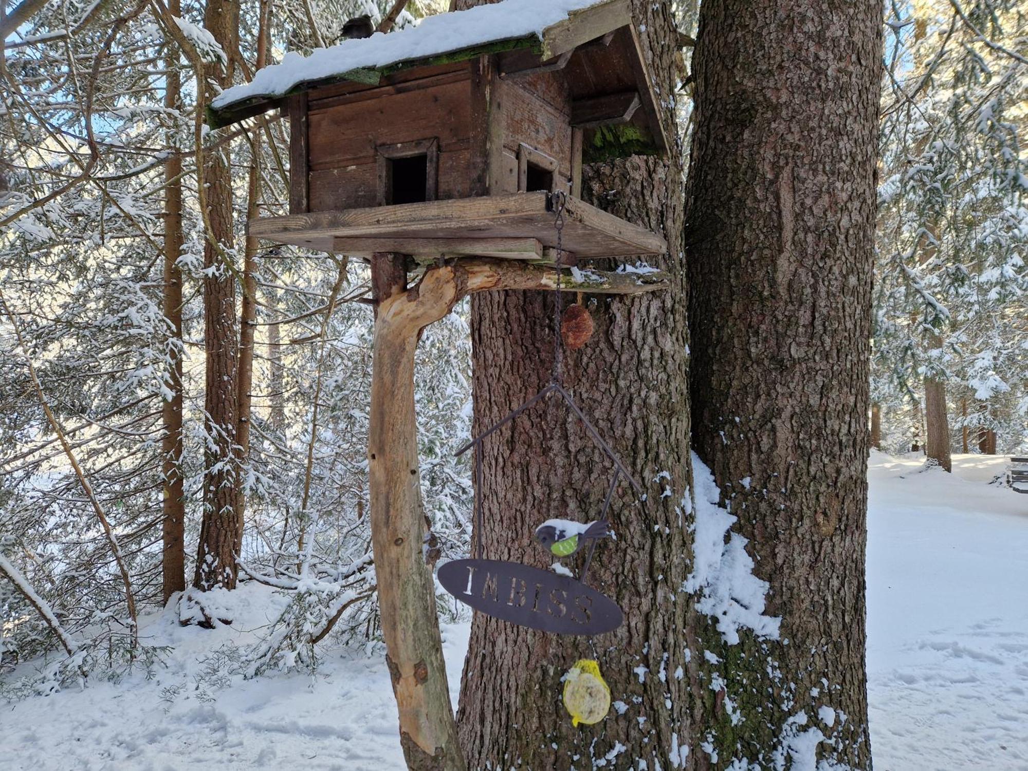 Wohlfuehl-Appartement Bergsee Family - Am Wildsee - Sup Und Schlitten For Free Seefeld in Tirol Ngoại thất bức ảnh